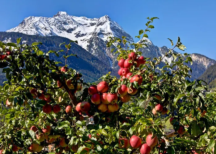 Πανσιόν Gaestehaus Oblasser 3*