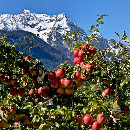 Pensión Gaestehaus Oblasser 3*